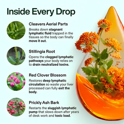 Lymphaco Drops for Social Drinker