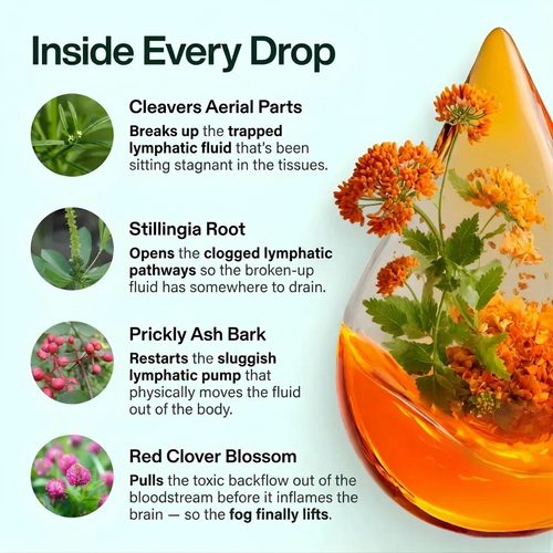 Lymphaco Drop For COPD