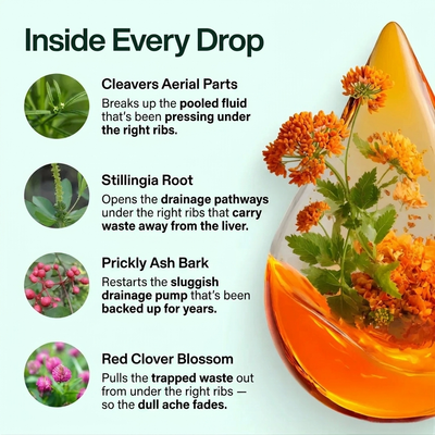 Lymphaco Drop for Right Dull Pain